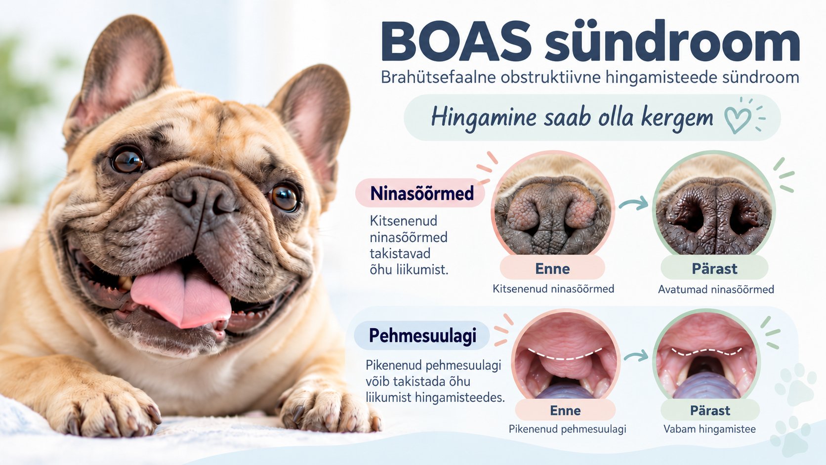 BOAS
